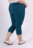 Immagine di CURVY GIRL STRETCH SMART THREE QUARTER TROUSER CROPS